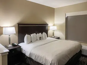 Comfort Suites Kings Bay Naval Base Area - Chambre