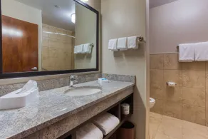 Drury Inn & Suites Cincinnati Northeast Mason - Salle de bain
