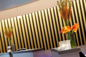 Renaissance St. Louis Airport Hotel - Réception