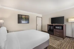 Best Western Town & Country Lodge - Chambre