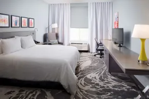 Hilton Garden Inn Dallas/Arlington South - Værelse