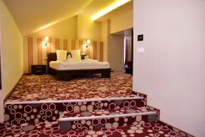 Bacolux Craiovita, Craiova - Room