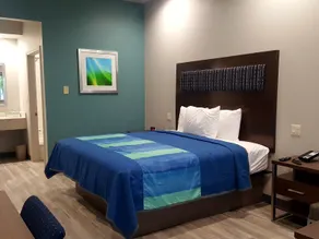 Hotel Blue - Woodlands - Chambre