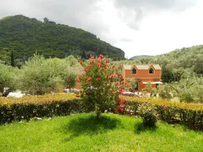 Anemona Studios - View from room