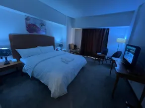 Mayon Hotel - Habitación
