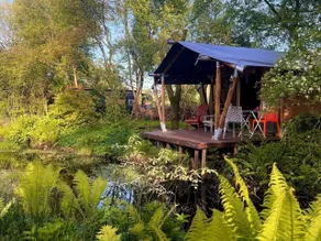 Camping De Helleborus  - Chambre