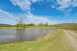 Ozark Getaway w/ Pond, Fire Pit & Patio - Innvendig