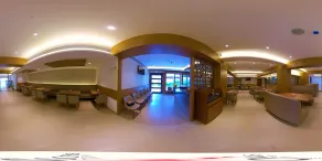 Hotel Blossoms - Restaurant