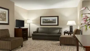 Holiday Inn Hotel & Suites Gateway by IHG - Chambre