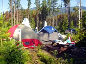Blue River Cabins Campground & RV Park - Room