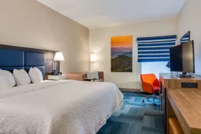 Hampton Inn Johnson City - Chambre