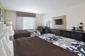 Sleep Inn & Suites Marshall - University Area - Rom