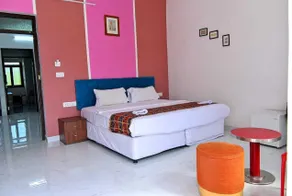 Hotel Apni Haveli - Room