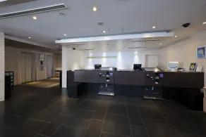 Villa Fontaine Tokyo Hatchobori - Réception