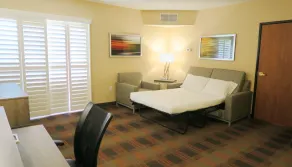 HOLIDAY INN EXPRESS & SUITES ELK GROVE CENTRAL - HWY 99 by IHG - Værelse