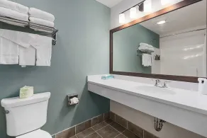 Three Bears Waterpark Resort Near Tomah, Ascend Collection Hotel - Salle de bain