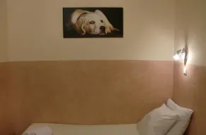 Budget Hotel Neutraal - Room