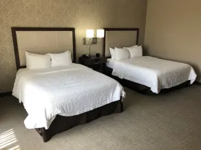 Hampton Inn & Suites Tampa Busch Gardens Area - Chambre