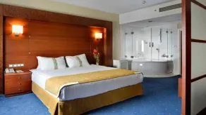 Holiday Inn Istanbul City by IHG - Chambre