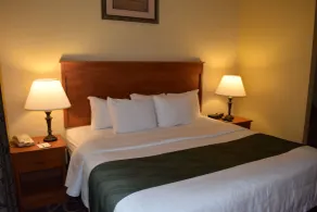 Quality Hotel & Suites At The Falls - Vue de la chambre