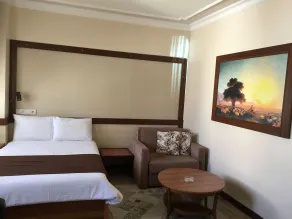 Bolat Hotel - Room
