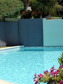 Logis Hôtel La Fenière - Pool