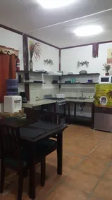 Hotel Casa Vito Beachfront - Chambre