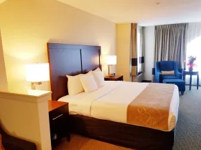 Quality Suites Irving-Las Colinas - Chambre