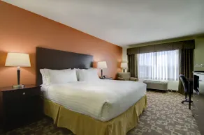 Holiday Inn Express Hotel & Suites Kansas City Sports Complex by IHG - Chambre
