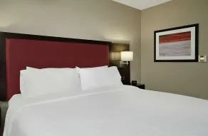 Hilton Garden Inn Sonoma County Airport - Chambre