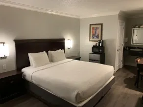  Stargazer Hotel - Chambre