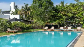 Surfing Elephant - Pool