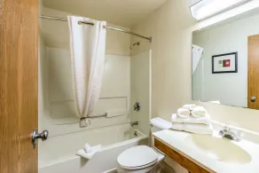 Econo Lodge Inn & Suites Auburn - Bathroom