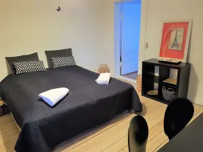 Classic Copenhagen City Apartment - Rum