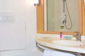 ibis Bengaluru Hosur Road - An Accor Brand - Bathroom