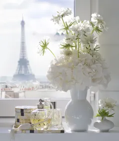 Mandarin Oriental, Paris - Vue de la chambre