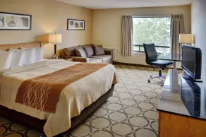 Comfort Inn - Chambre