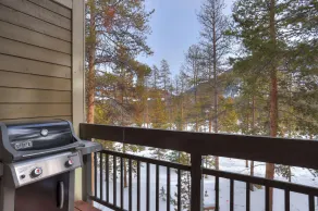 Pines 2045 by SummitCove Lodging in Colorado - Udsigt fra værelset