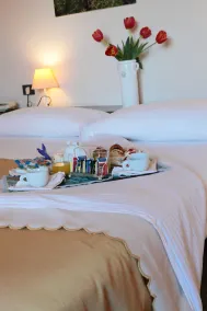 Park Hotel San Michele - Chambre