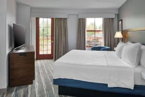 Hampton Inn & Suites Saratoga Springs Downtown - Chambre