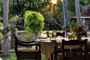 Why House - Restaurant