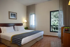 Ruth Safed By Dan Hotels - Vue de la chambre