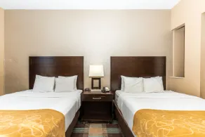 Comfort Suites Houston West at Clay Road - Room