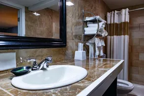 Route 66 Hotel, Southern View, Illinois - Salle de bain