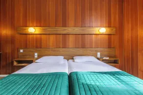 Hotel Bristol Metz Centre Gare - Room