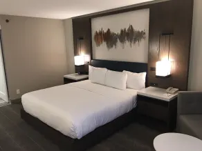 Hilton Peachtree City Atlanta Hotel & Conference Center - Chambre