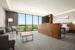 Ramada by Wyndham Izmir Aliaga - Room