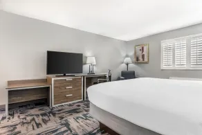 Best Western Wakulla Inn & Suites - Zimmer