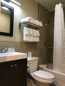 Berkshire Motor Hotel - Salle de bain