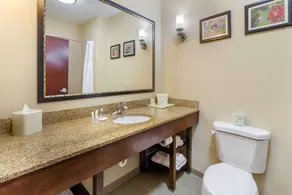 Comfort Suites Wilson - I - 95 - Chambre